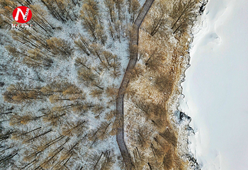 地池第 10 张图片