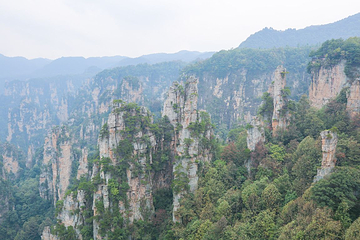 天子山风景区第 34 张图片