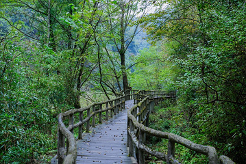 阳坝自然风景区第 3 张图片