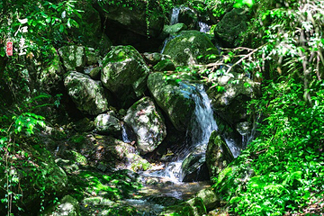 醉山野景区第 41 张图片