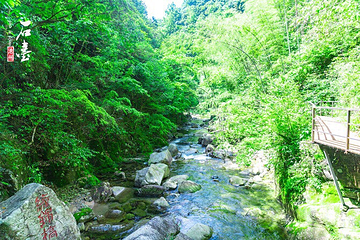 醉山野景区第 16 张图片