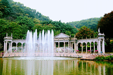 云台花园第 17 张图片
