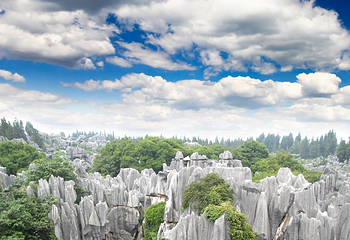 石林风景区第 42 张图片