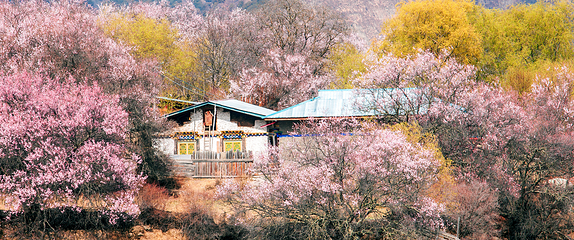 桃花沟风景区第 2 张图片