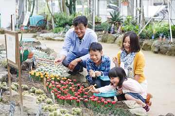 伊豆仙人掌动物园第 10 张图片