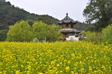 李坑景区第 30 张图片