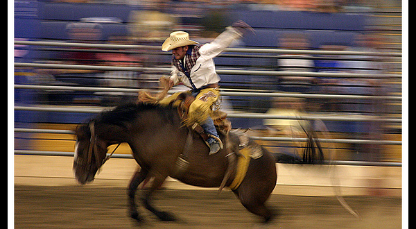 Lost Dutchman State Park
