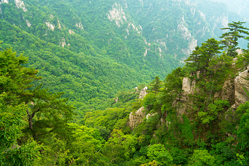 老界岭旅游度假区第 23 张图片
