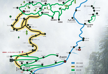 天目山自然保护区第 3 张图片