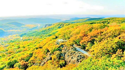 壹台山骆驼峰景区第 1 张图片
