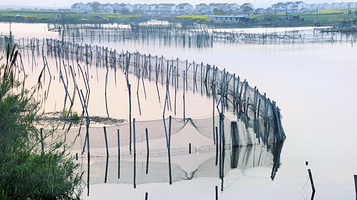 阳澄湖美人腿风景区