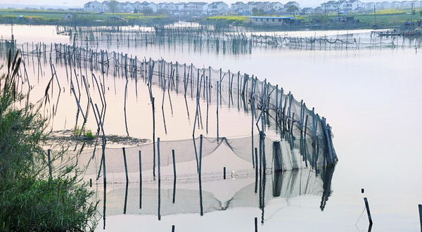阳澄湖美人腿风景区