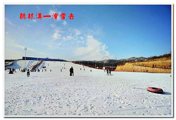桃林沟滑雪场第 1 张图片