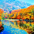 蒲石河森林公园