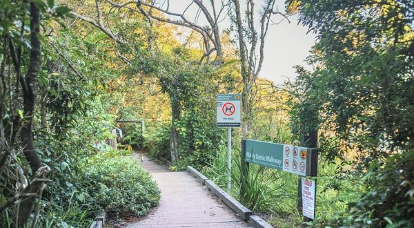 曼利风景区走道