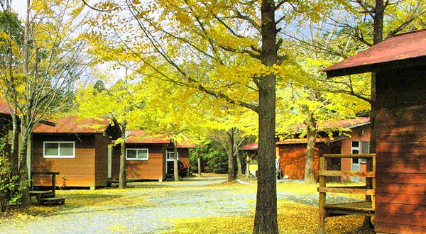 浪漫森林共和国