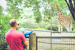 卡尔加里动物园