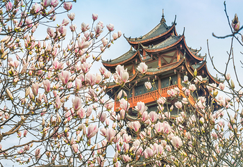 塔子山公园第 4 张图片