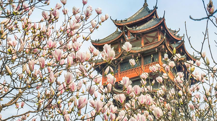 九天楼第 1 张图片