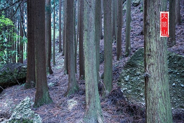 广元天曌山旅游风景区第 8 张图片