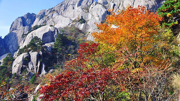 寿光渤海森林公园