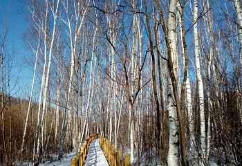 亚布力滑雪旅游度假区第 56 张图片