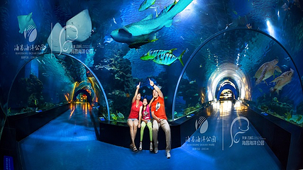 海合安天津极地海洋公园第 126 张图片