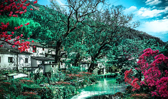 五龙源四季花谷景区