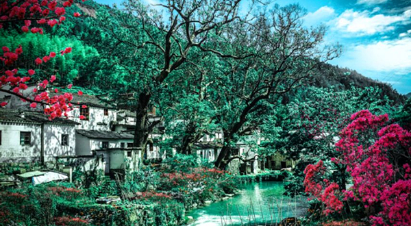 五龙源四季花谷景区