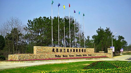 木兰花乡景区(木兰不夜城)第 85 张图片