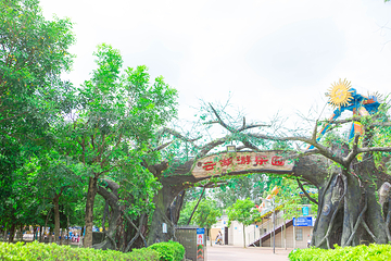 广州白云湖公园第 7 张图片