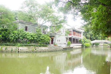 荔枝湾涌第 32 张图片