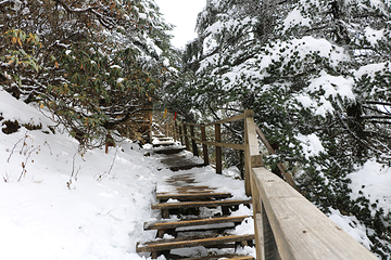 轿子雪山第 27 张图片