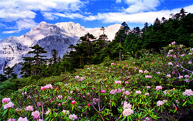 香格里拉巴拉格宗风景名胜区第 119 张图片