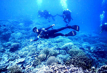 亚龙湾爱琴海PADI潜水度假村第 36 张图片