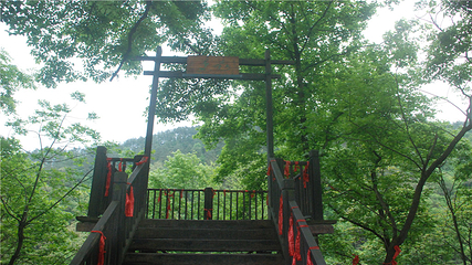 南华山神凤文化景区第 19 张图片