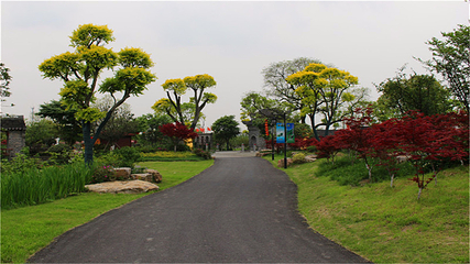 嬉乐湾休闲旅游区第 51 张图片