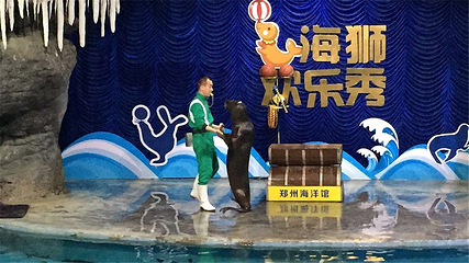 郑州海洋馆第 45 张图片