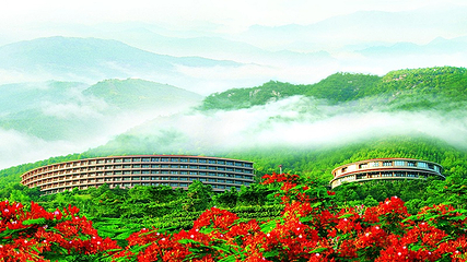 雁南飞茶田景区-桥溪古韵第 18 张图片