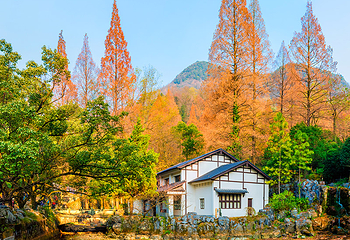 金华双龙风景旅游区第 1 张图片
