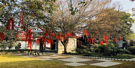 双沟酒文化旅游区第 7 张图片