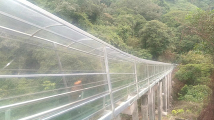 南丹山森林王国第 63 张图片