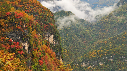 九路寨生态旅游区第 62 张图片