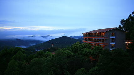 雁南飞茶田景区第 36 张图片