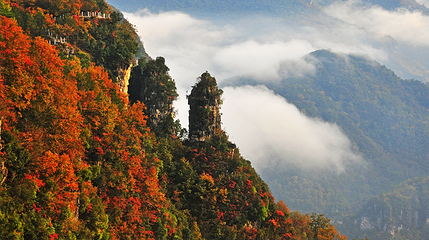 九路寨生态旅游区第 51 张图片