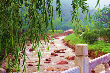 挂云山景区第 3 张图片
