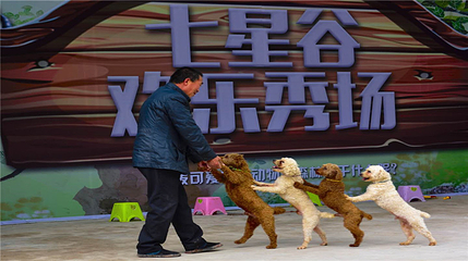 七星谷生态旅游度假区第 8 张图片