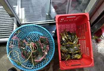 一哥美食 - 水蟹粥第 9 张图片
