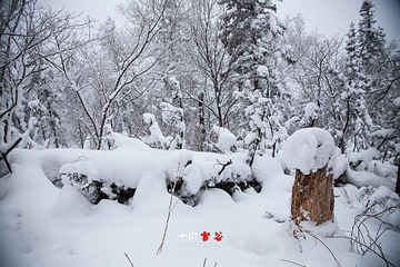 雪谷第 12 张图片