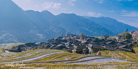 龙脊梯田风景名胜区-金坑梯田第 15 张图片
